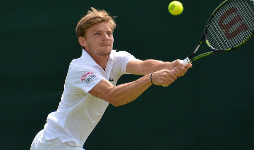 Goffin trengte fem sett mot Opelka