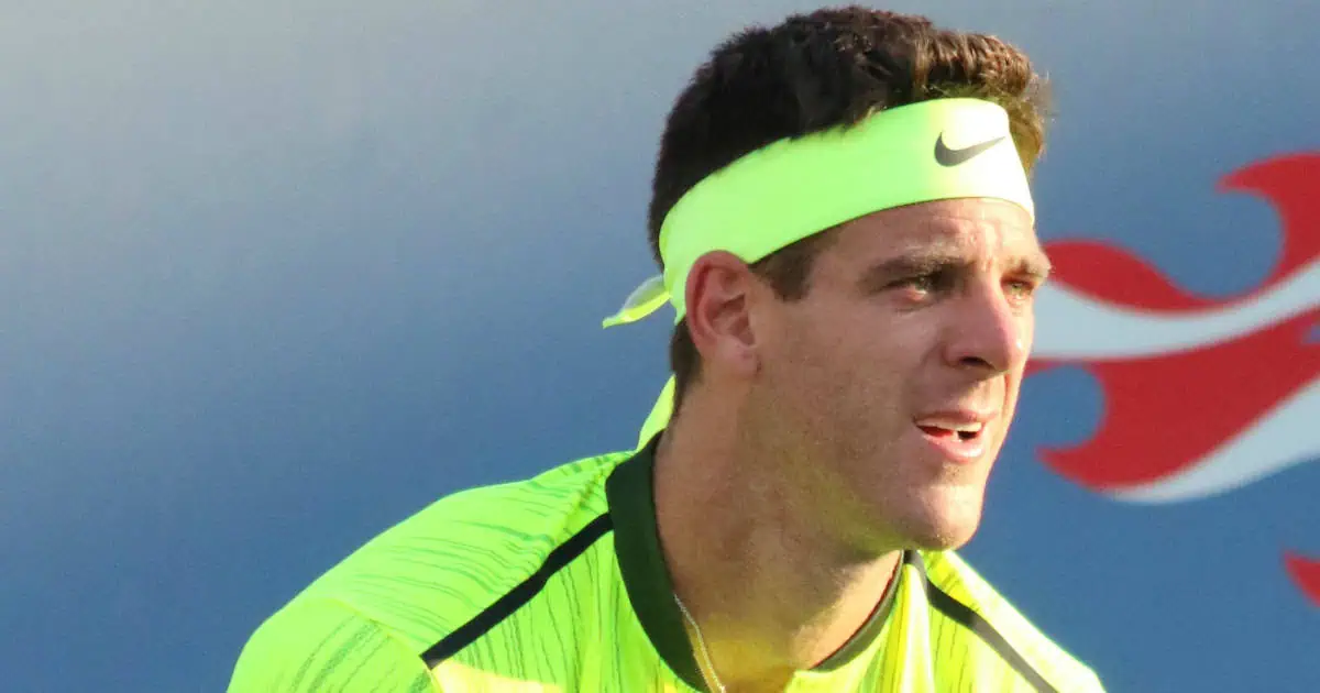 Juan Martin del Potro