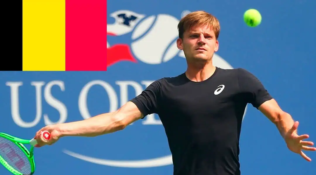 Formsterke Goffin kan lede Belgia til Davis Cup-seier