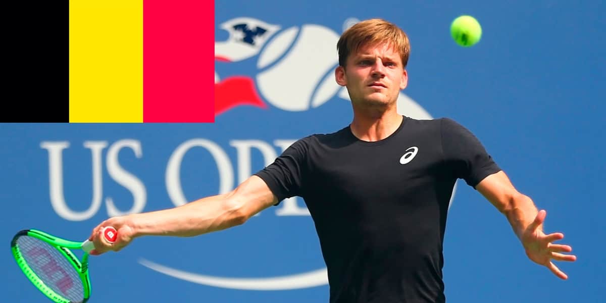 David Goffin