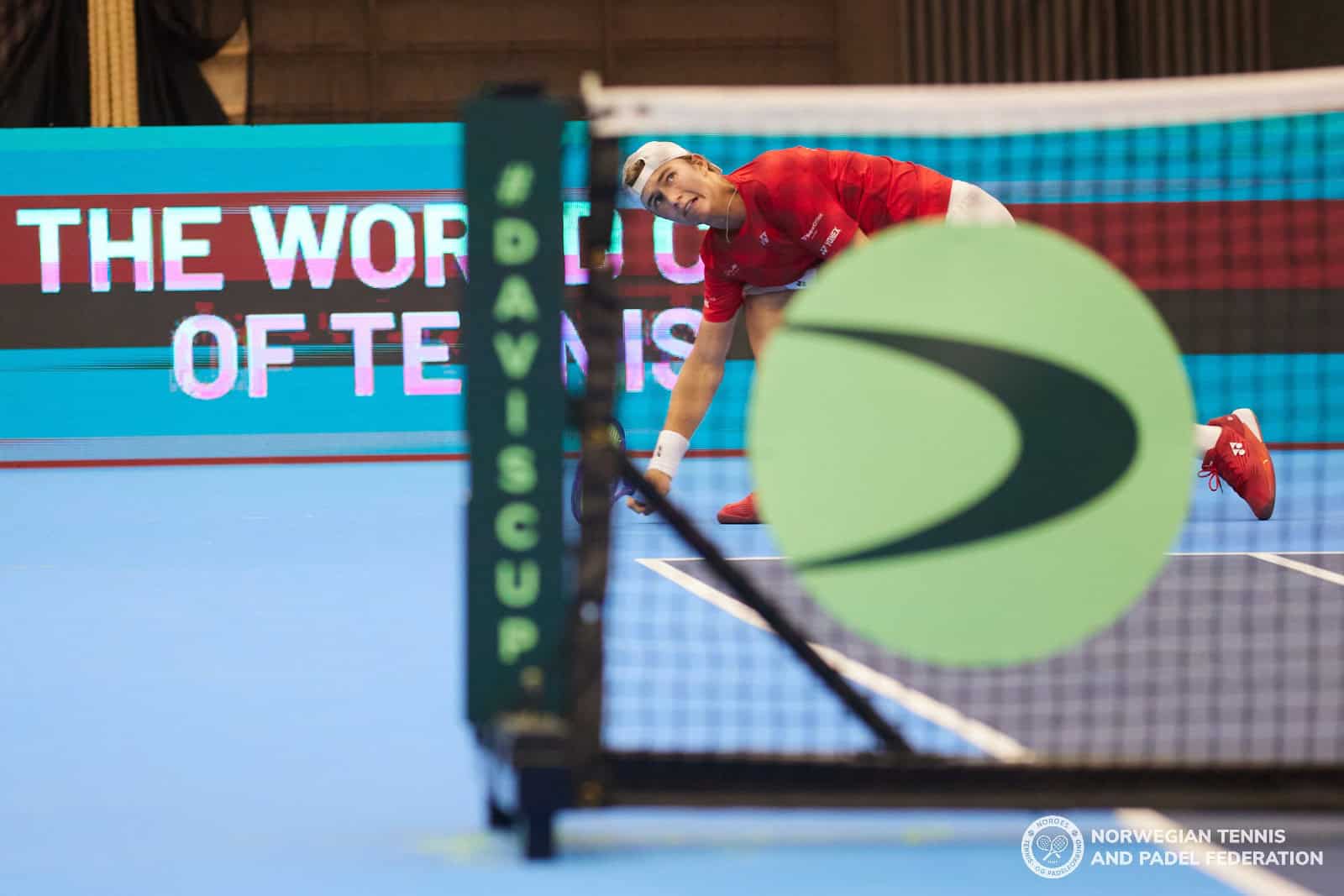 Tross toppnivå – Argentina slo Norge i Davis Cup