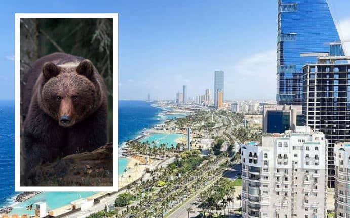 Fredags-drama i Kongeriket